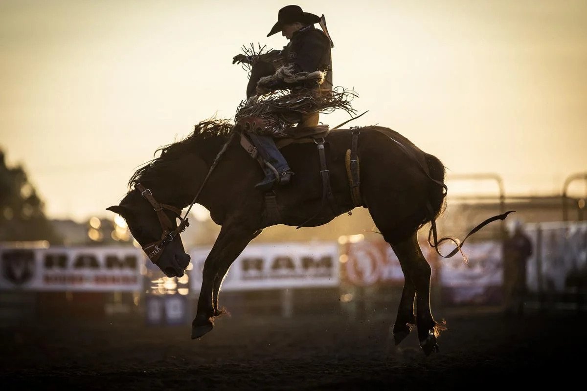 Étape 3 - Cody, Wyoming