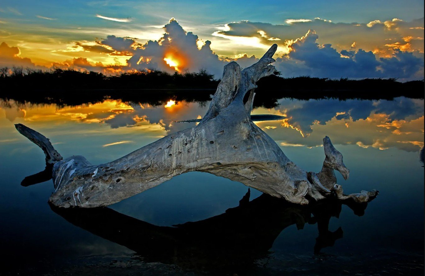 Jour 1 – Arrivée & premières sensations