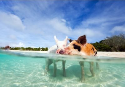 exuma