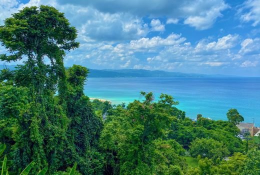 jamaica-8569629_1280 jamaica-8569629_1280