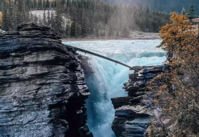 pexels-rachel-claire-7263450-min-min_11zon-scaled